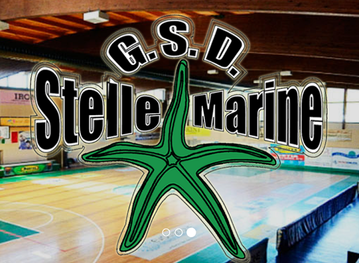 https://www.stellemarinebasket.it/immagini_news/32/il-sito-stelle-marine-ostia-va-in-pensione-32.png